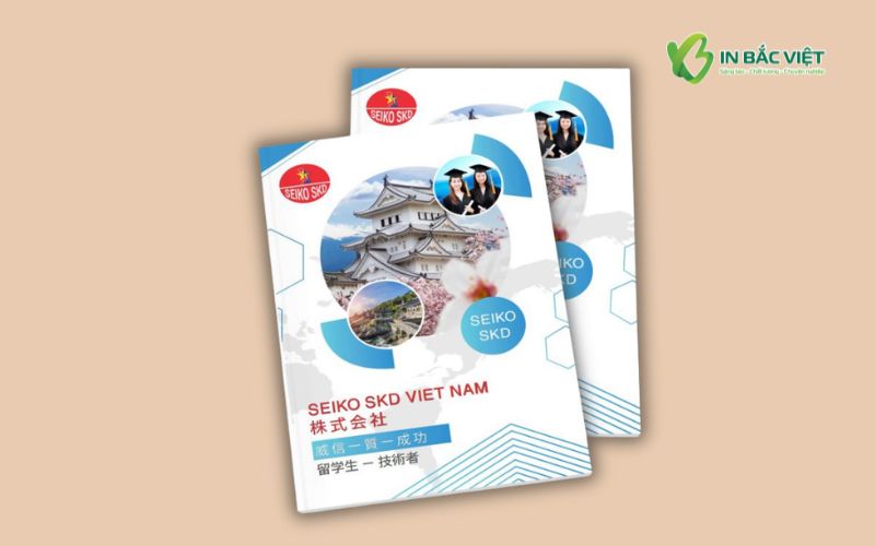 Mẫu catalogue du học Nhật Bản thiết kế theo nhận diện thương hiệu