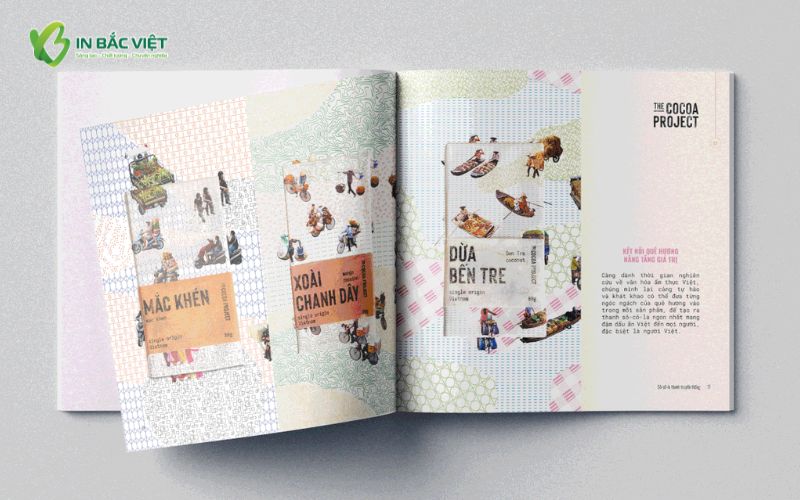 Catalogue giấy ánh trai cao cấp với hiệu ứng bắt sáng tạo cảm giác sang trọng