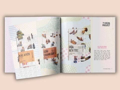 15+ MẪU CATALOGUE GIẤY MỸ THUẬT CAO CẤP