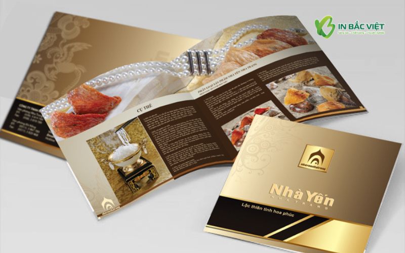 Mẫu catalogue in bằng giấy mỹ thuật giúp nâng cao giá trị sản phẩm và hình ảnh thương hiệu