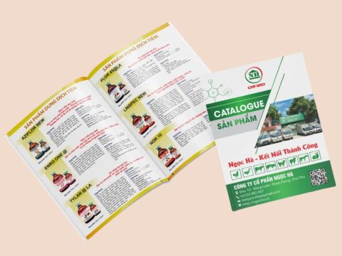 50 MẪU CATALOGUE SẢN PHẨM ĐẸP, CHUYÊN NGHIỆP