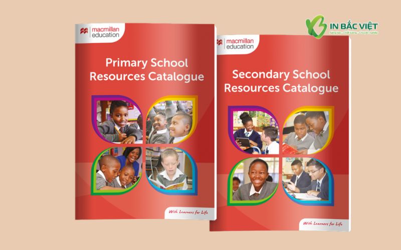 Catalogue education thiết kế chuyên nghiệp cho trường học