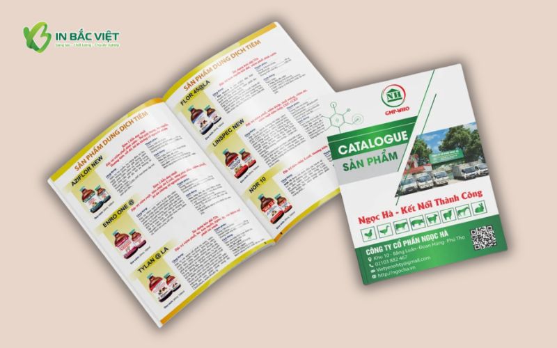 Catalogue sản phẩm giúp tăng hiệu quả bán hàng