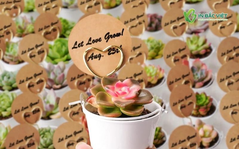 Tag giấy Kraft cài chậu sen đá độc đáo