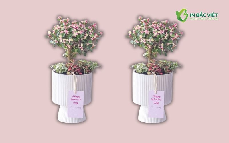 Mẫu thẻ mác treo chậu cây kiểng đẹp