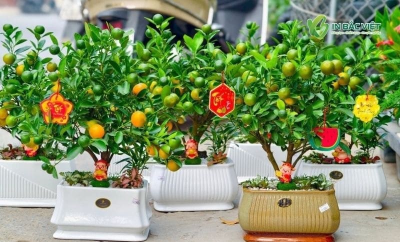Thẻ treo trang trí cây cảnh ngày Tết