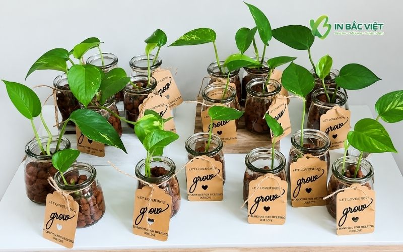 Mẫu Tag giấy Kraft treo chậu cây thủy sinh mini