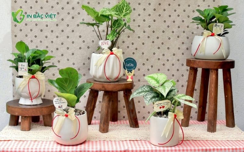 Mẫu Tag treo cây cảnh để bàn mini làm quà tặng