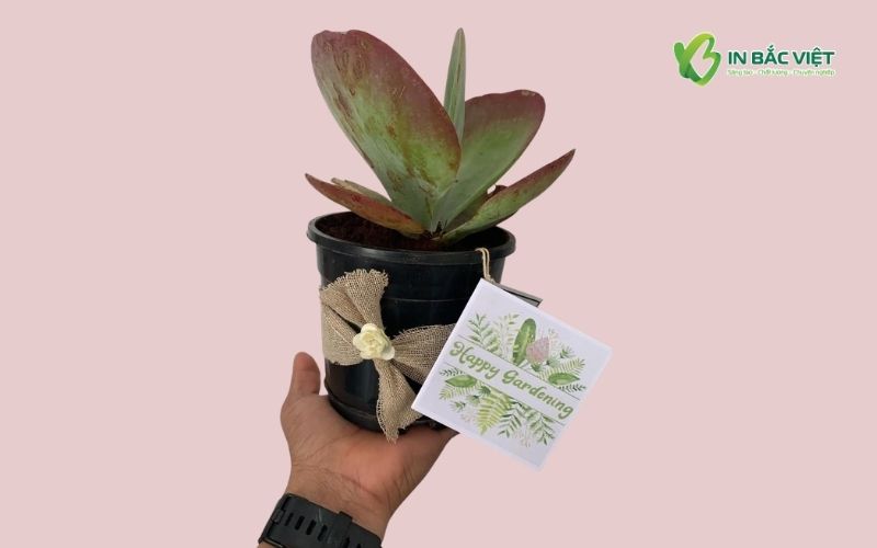 Mẫu Tag treo cây kiểng nhà vườn kiểu dáng gập đôi