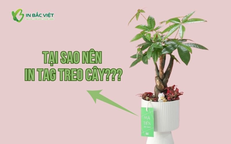 Tại sao nên in Tag treo cây, thẻ treo cây cảnh cho nhà vườn và cửa hàng cây cảnh