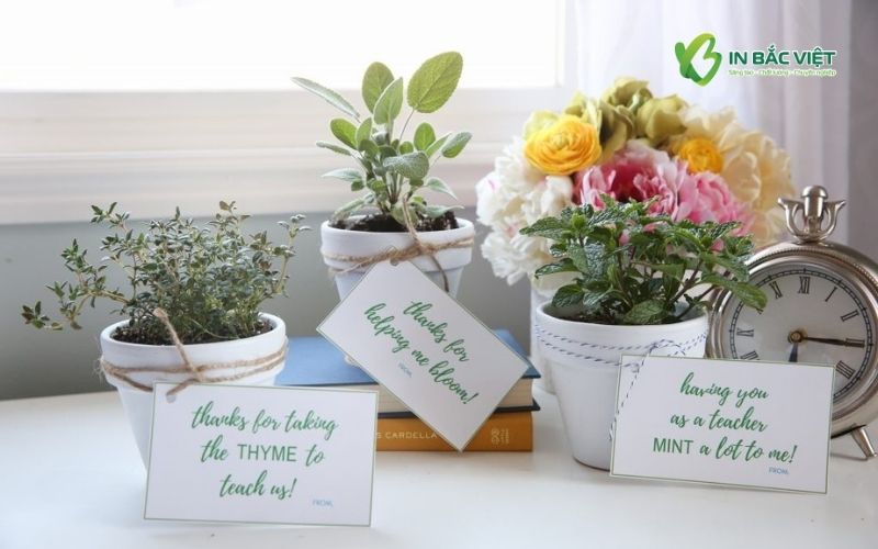 Mẫu thẻ treo chậu cây cảnh hình chữ nhật đơn giản