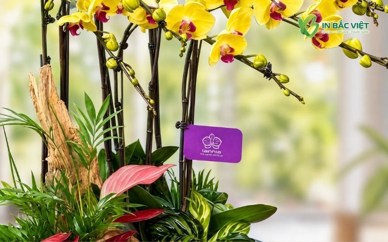 Xu hướng thiết kế Tag treo cây cảnh tối giản, hiện đại