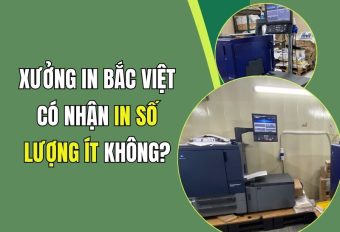 Xưởng In Bắc Việt có nhận in số lượng ít không?